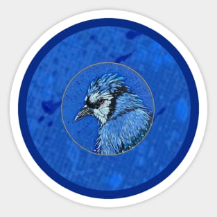 Blue Jay - New Design by Kris Morse Sticker